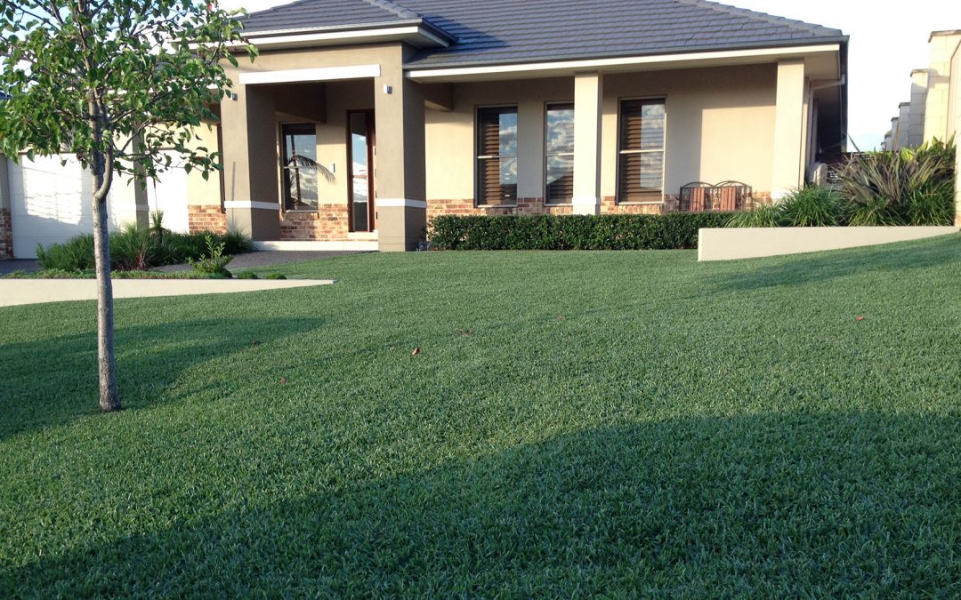The Complete Guide to Lawn Mowing