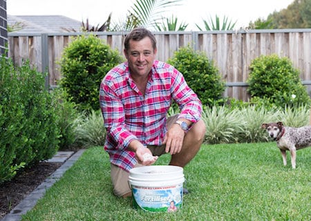 How to Revive Lawn Grass!