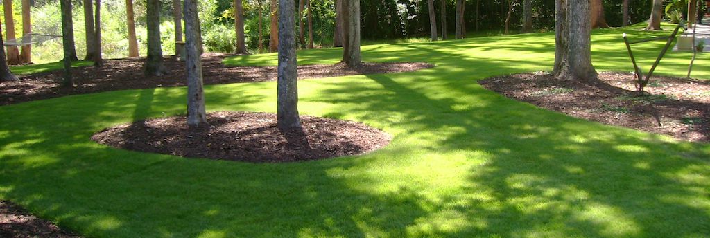 Lawn Stripes