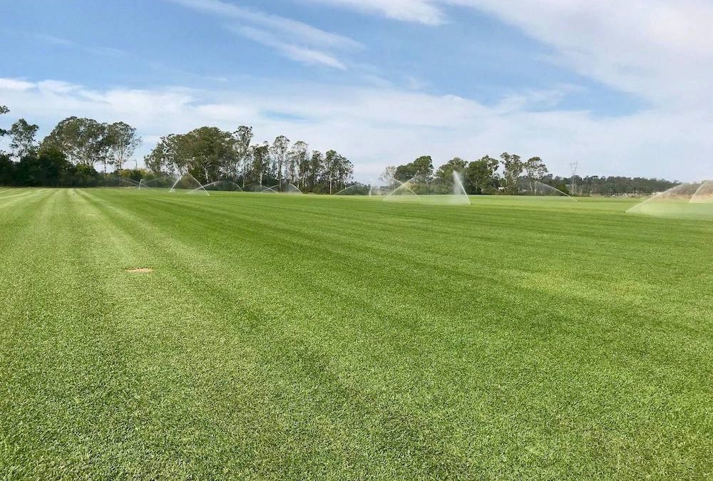 Turf Suppliers Sydney