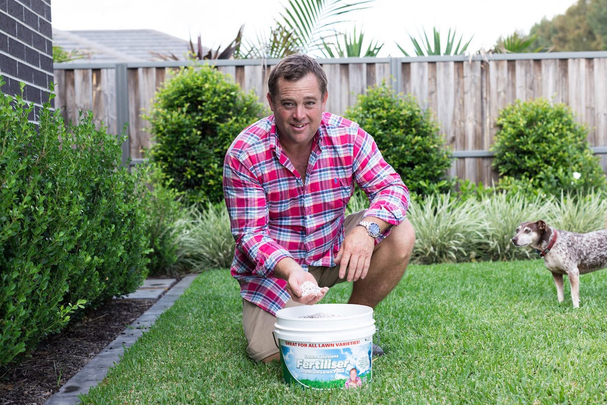 LSA Fertiliser Premium Lawn Food