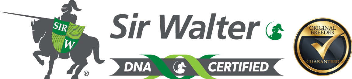 SirWalter-DNA_OB_Landscape