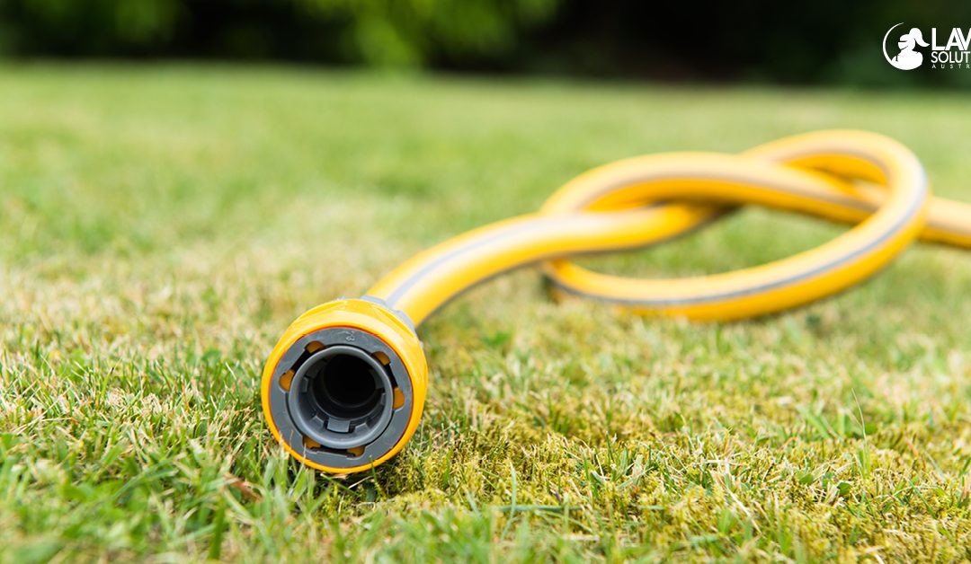Help Your Lawn Survive the Summer Heat – Responsibly!
