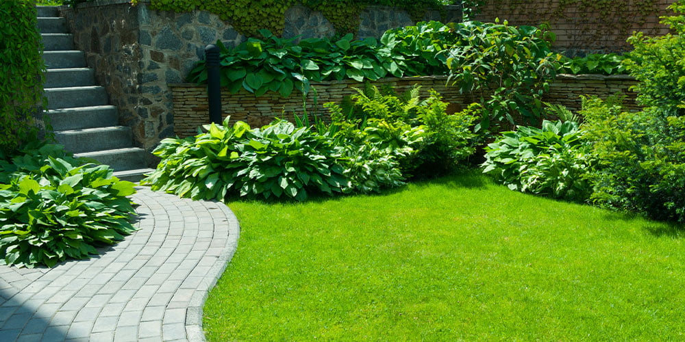 contactless turf delivery, stay at home, garden projects, staycation